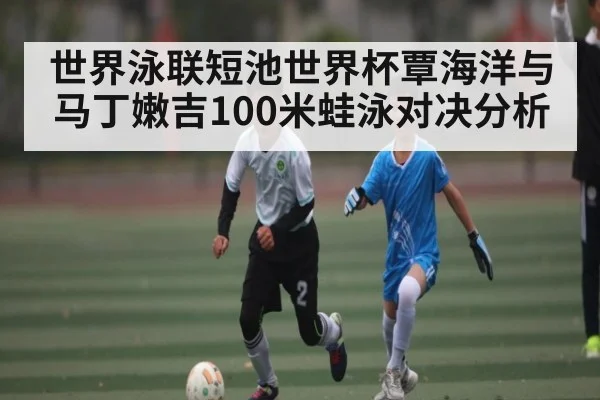 世界泳联短池世界杯覃海洋与马丁嫩吉100米蛙泳对决分析（BANDAO SPORTS）